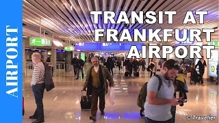 TRANSIT WALK AT FRANKFURT Airport FRA Terminal 1  Connection Flight Transfer Arriving amp Departing [upl. by Krenek]